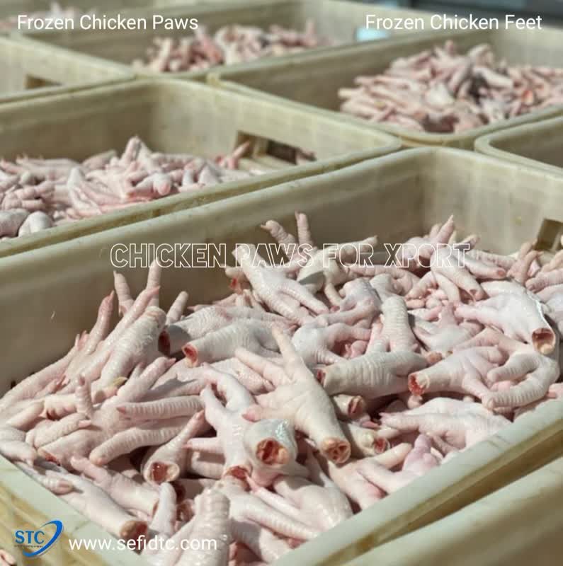 خرید پای مرغ بی استخوان + صادرات پای مرغ بی استخوان به چین، ژاپن و مالزی