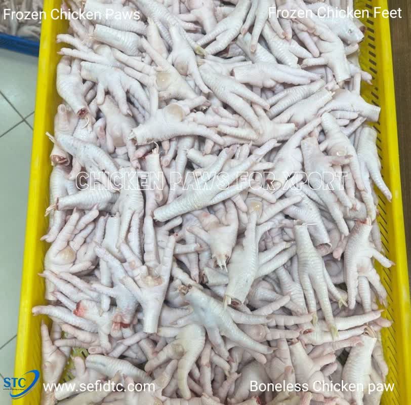 راهنمای جامع واردات پای مرغ به چین 