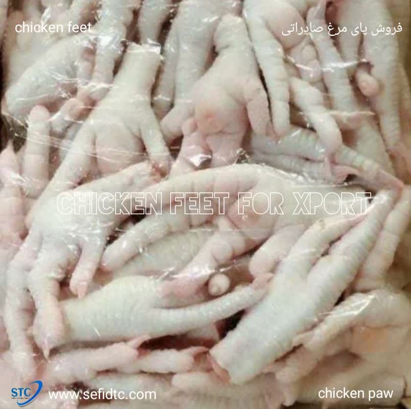 فروش پای مرغ صادراتی، فرصت یا تهدید