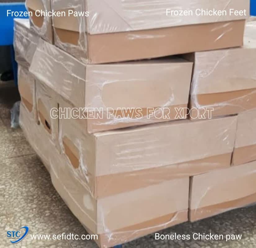 Cold Chain Logistics and Refrigerated Containers for Chicken Feet Export